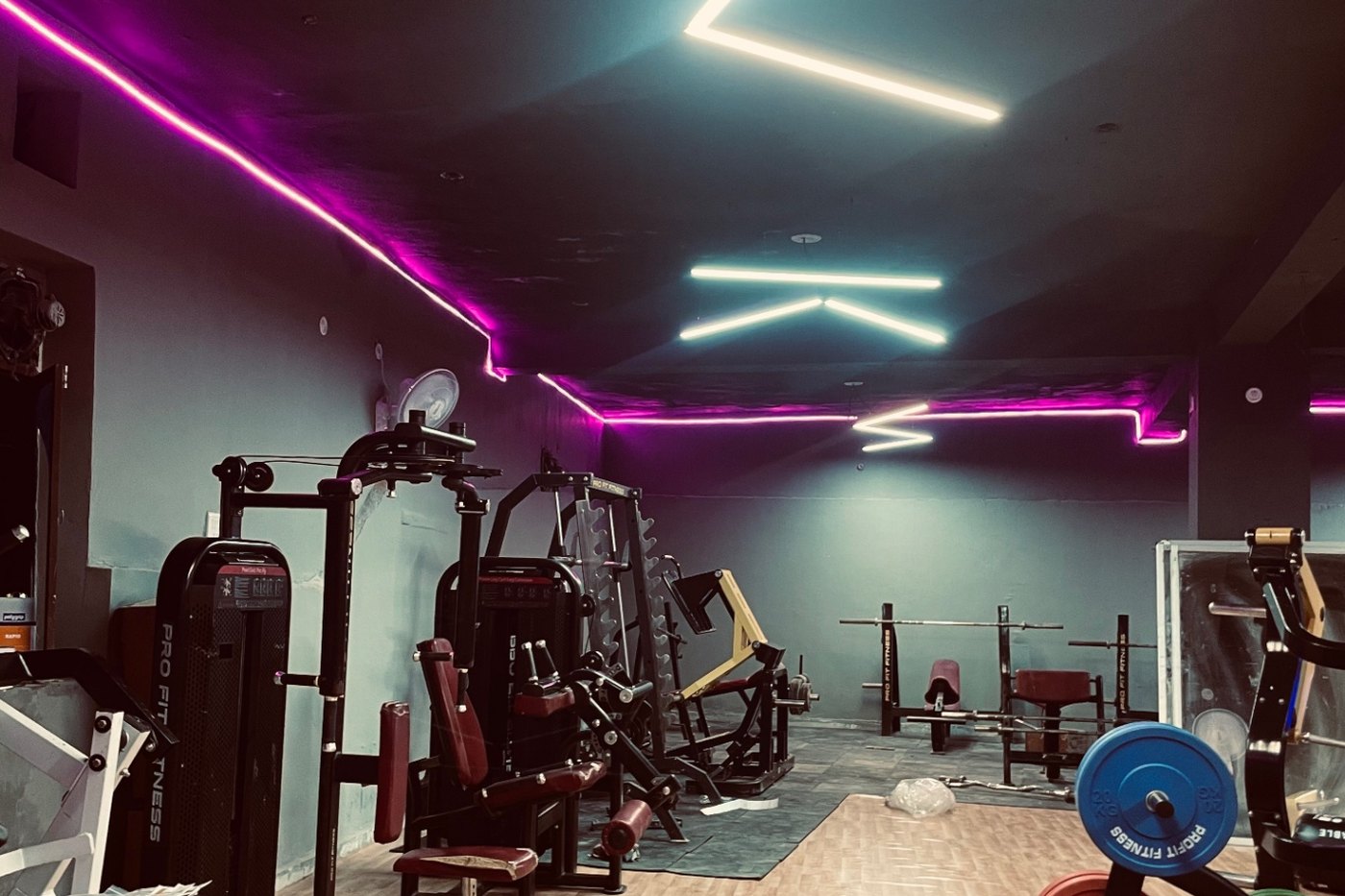 DreamFit gym floor in Manoharpur, Shahpura — strength machines and neon-lit training space